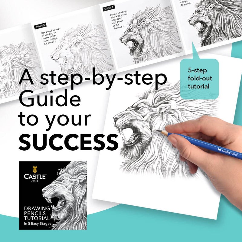 Castle Art Supplies 12 Piece Graphite Drawing Pencils Kit | for Adult Artists â€“ Beginners and Advanced | Presented in Attractive, Compact, Sturdy Metal Case with Tutorial - Image 5